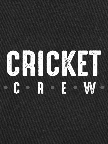 Équipe de cricket