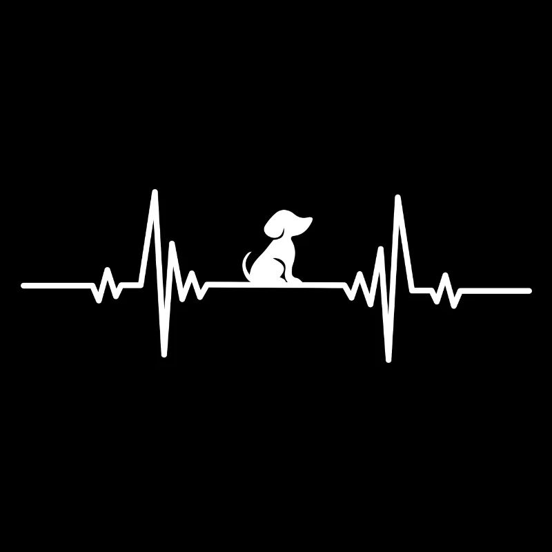 Palpitations cardiaques chien attend