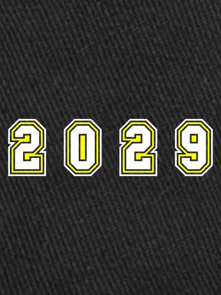 Numéro de l’année 2029