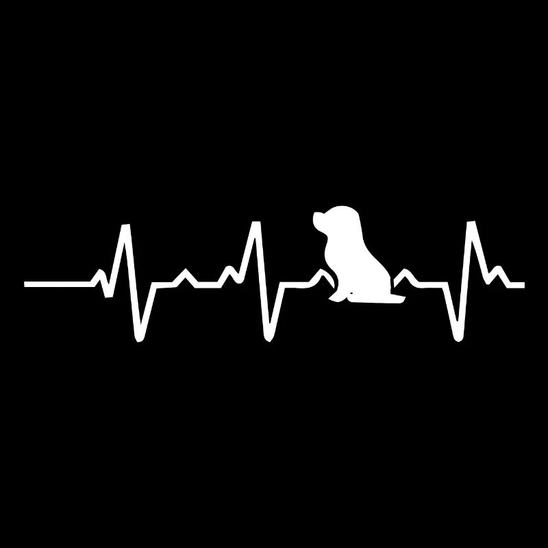 Beagle heartbeat