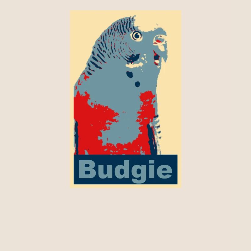 Perruche budgie image