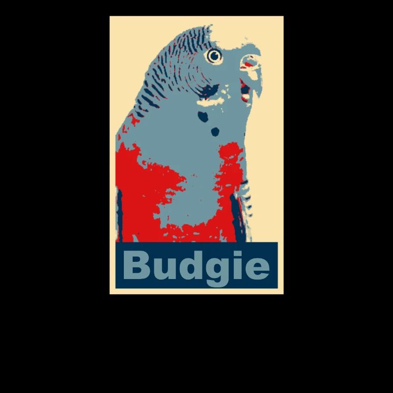 Wellensittich Budgie Bild