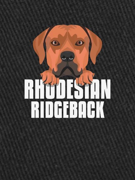Rhodesian Ridgeback souriant