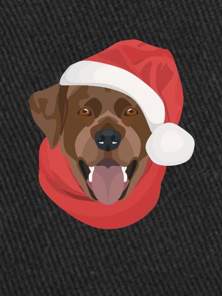 Noël du Labrador