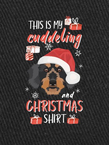 Rough-haired dachshund Christmas
