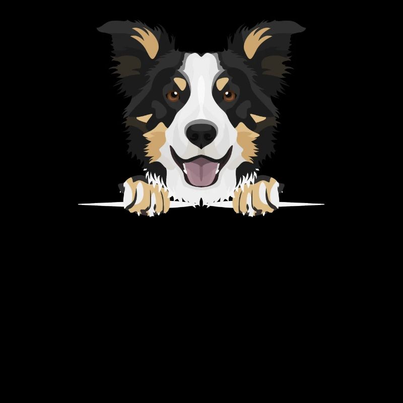 Border Collie souriant