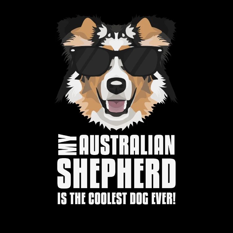 Mon berger australien est le plus cool