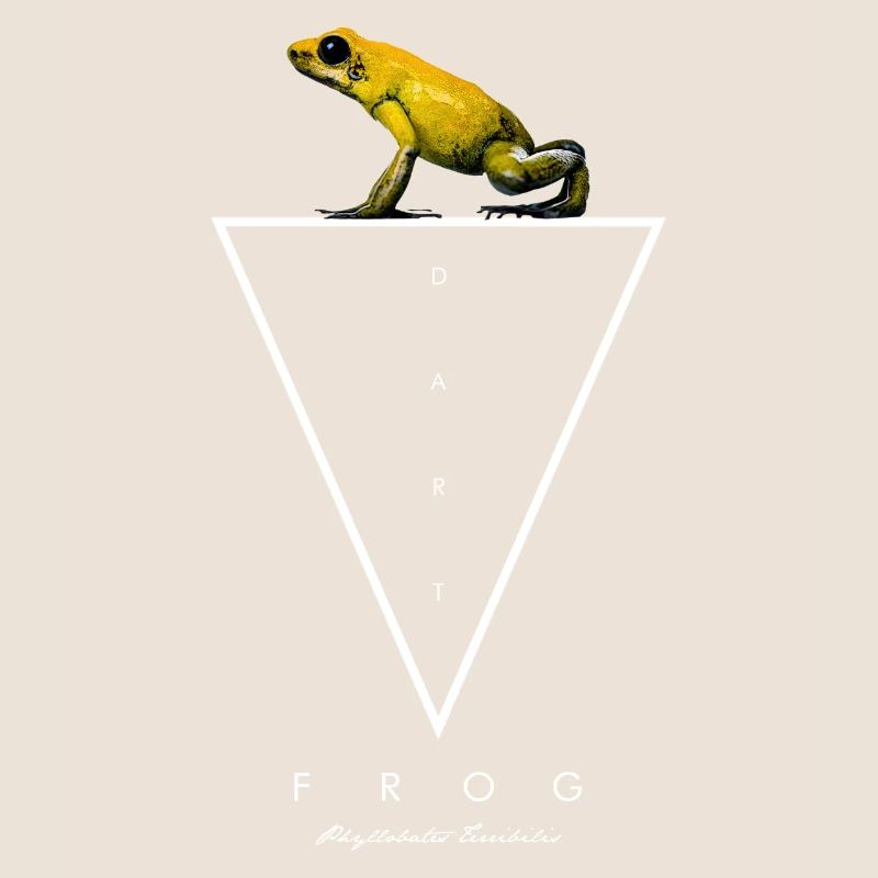 Grenouille empoisonnée dorée Phyllobates Terribilis