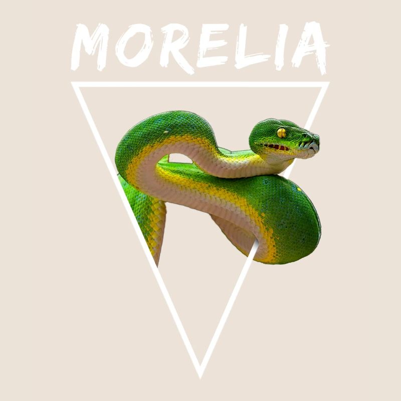 Grüner Baum Python Morelia Viridis Schlangenbesitzer