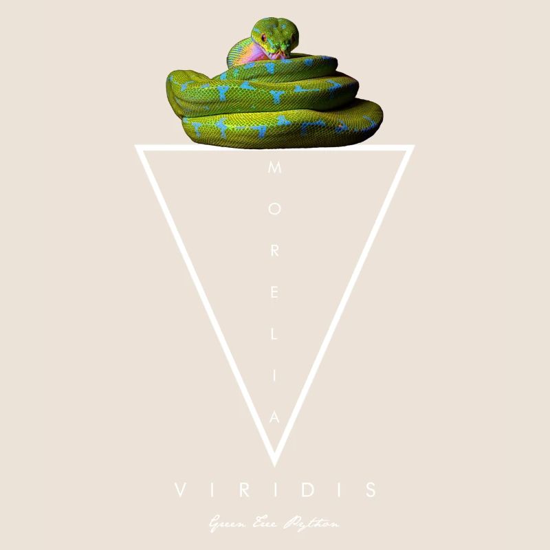 Arbre vert Python Géométrique moderne