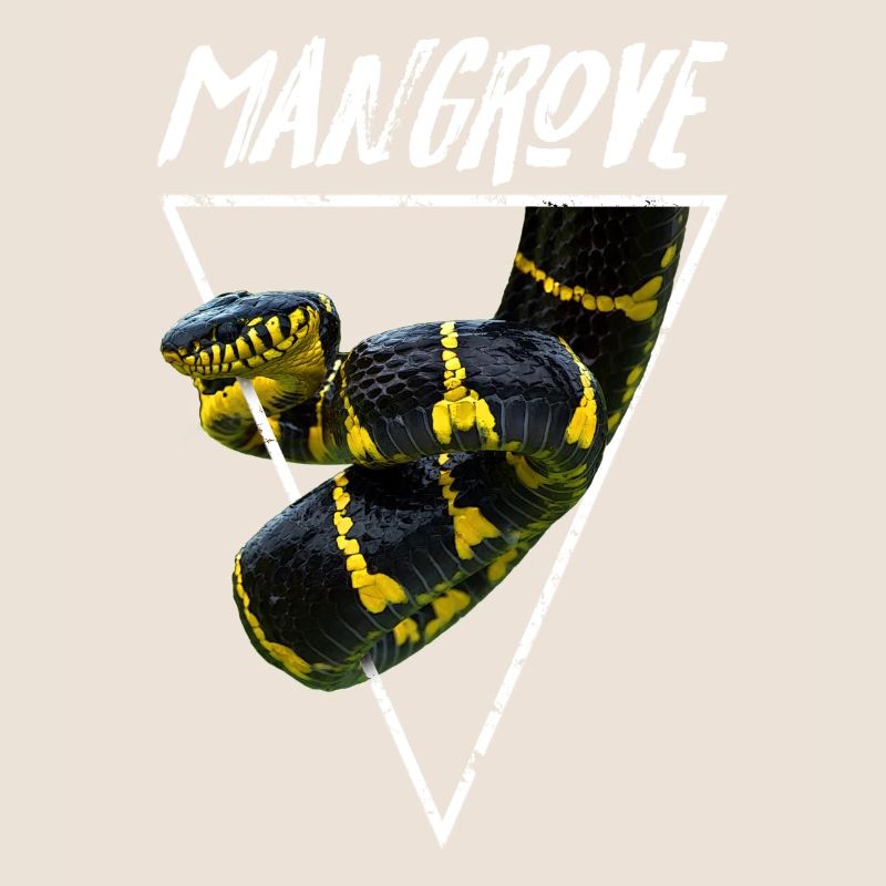 Mangrove Snake Venomous Snake Keeper