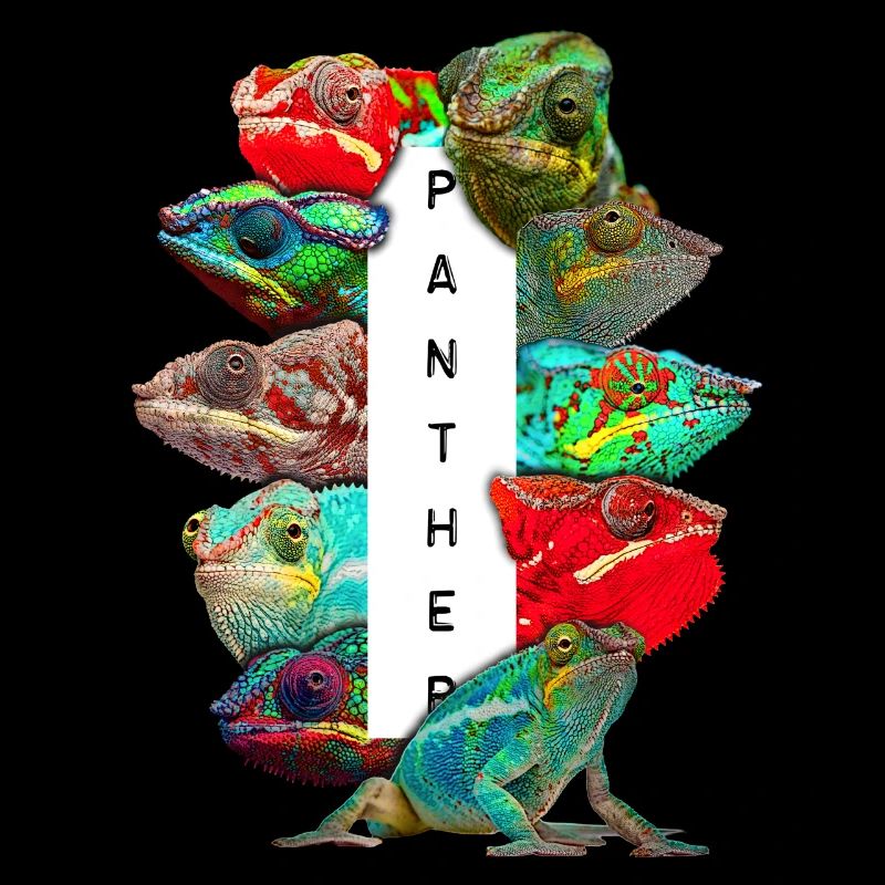 Panther Chameleon Propriétaire Chameleon Love