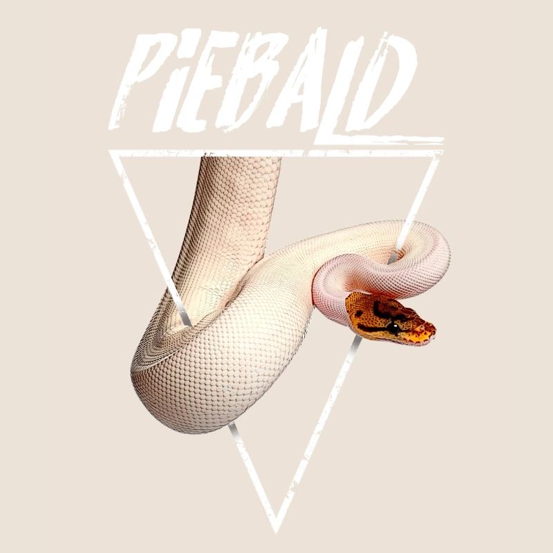 Piebald Ball Python Reptilienpfleger