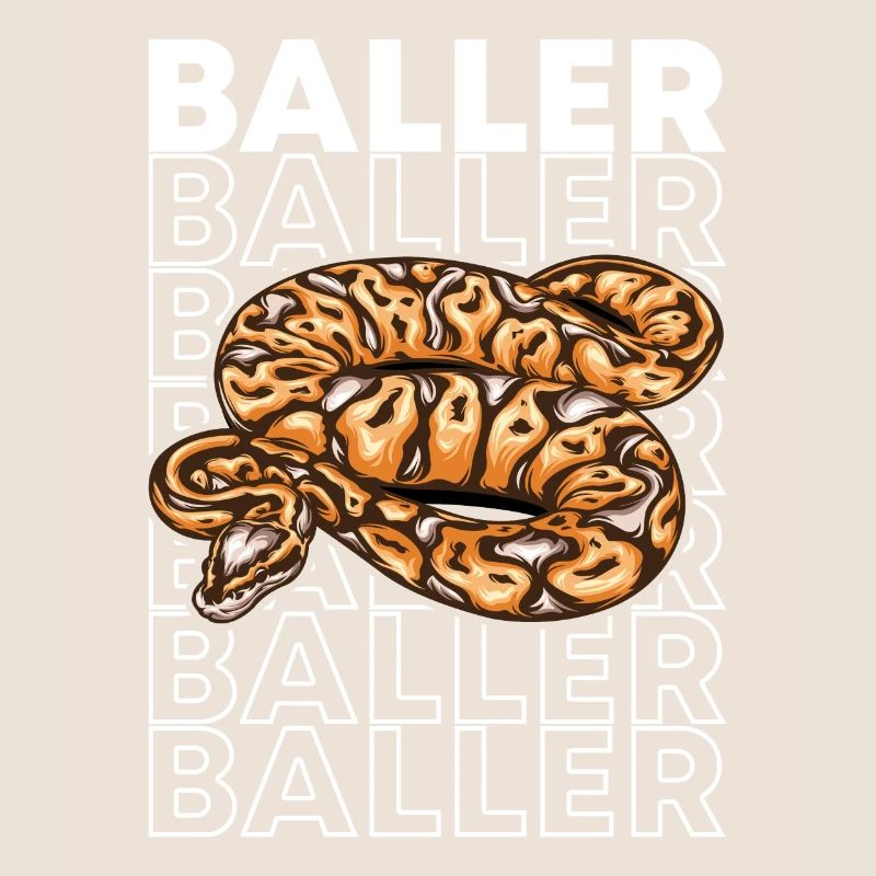 Ball Python 80's Style Baller Royal Python Snake