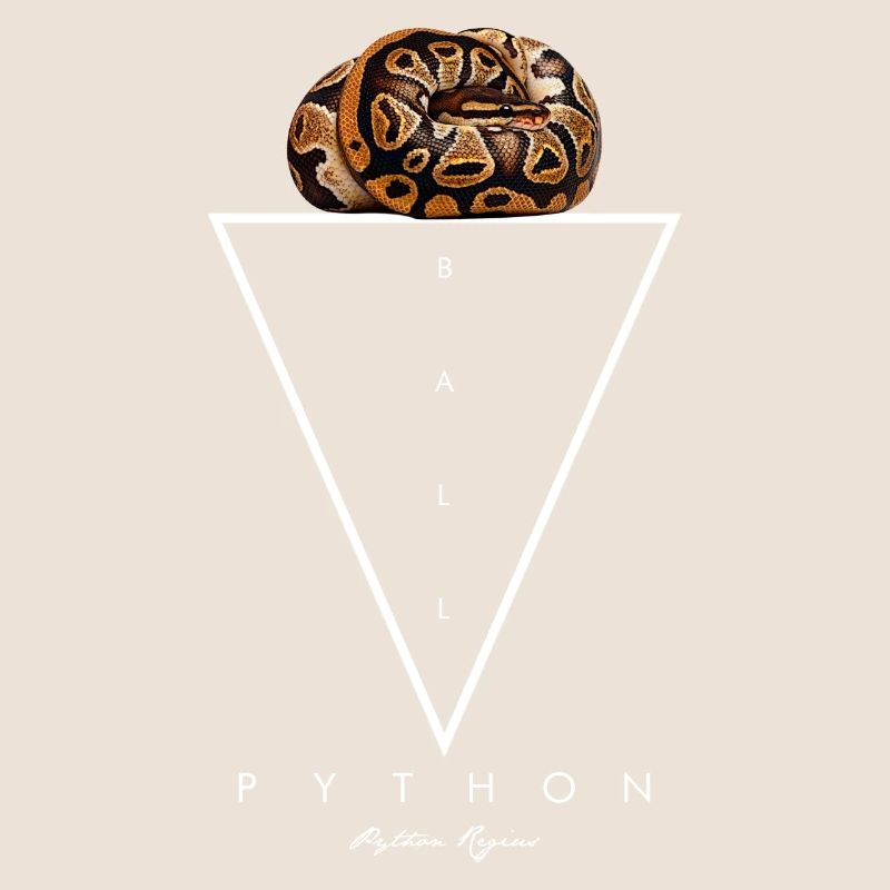 Ball Python Geometric Modern Snake Keeper