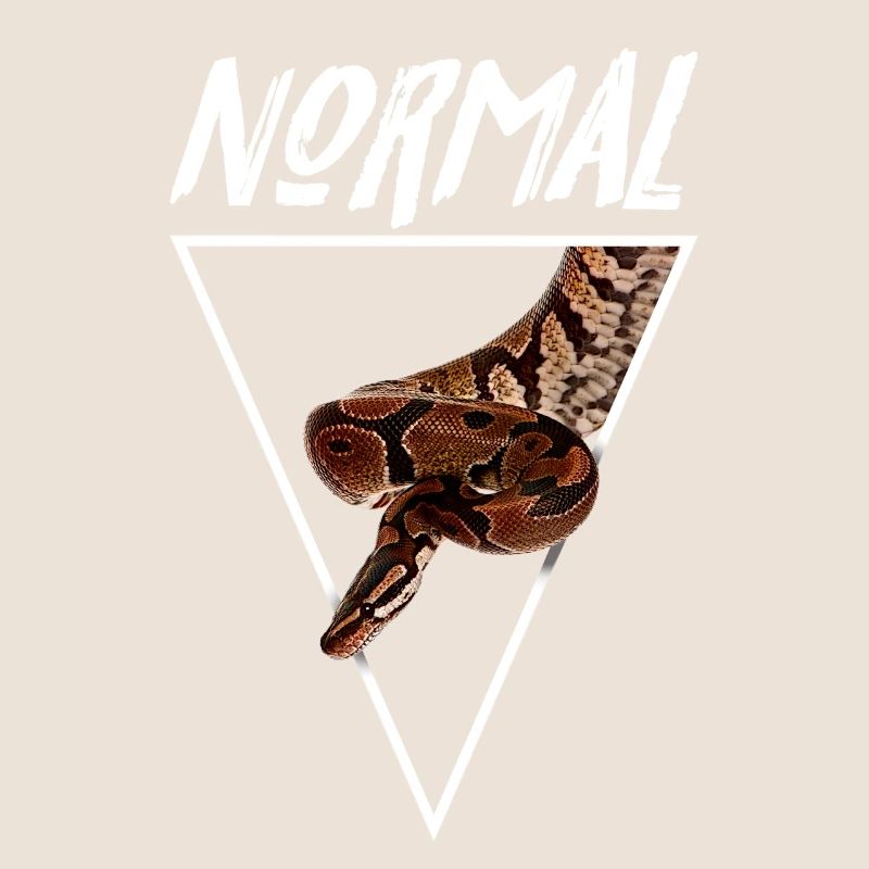 Normaler Ball Python Morph Schlange Besitzer