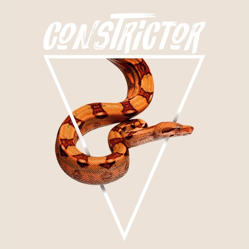 Boa Constrictor Geometrisch