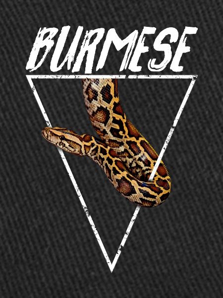 Burmese Python Owner Geometric