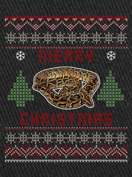 Burmesische Python Weihnachten