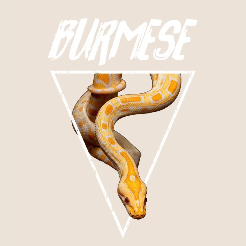 Propriétaire de serpent Python birman