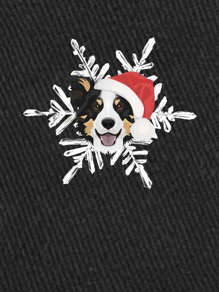 Border Collie Joyeux Noël