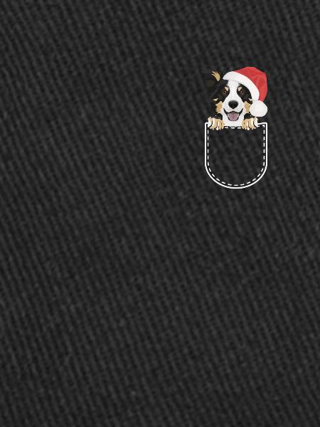 Border Collie Joyeux Noël