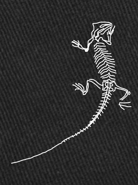 Dinosaurs, fossils, paleontologist,