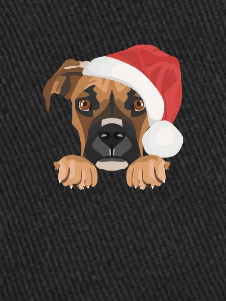 Boxer Joyeux Noël