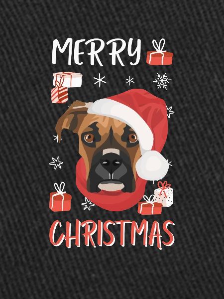 Boxer Joyeux Noël