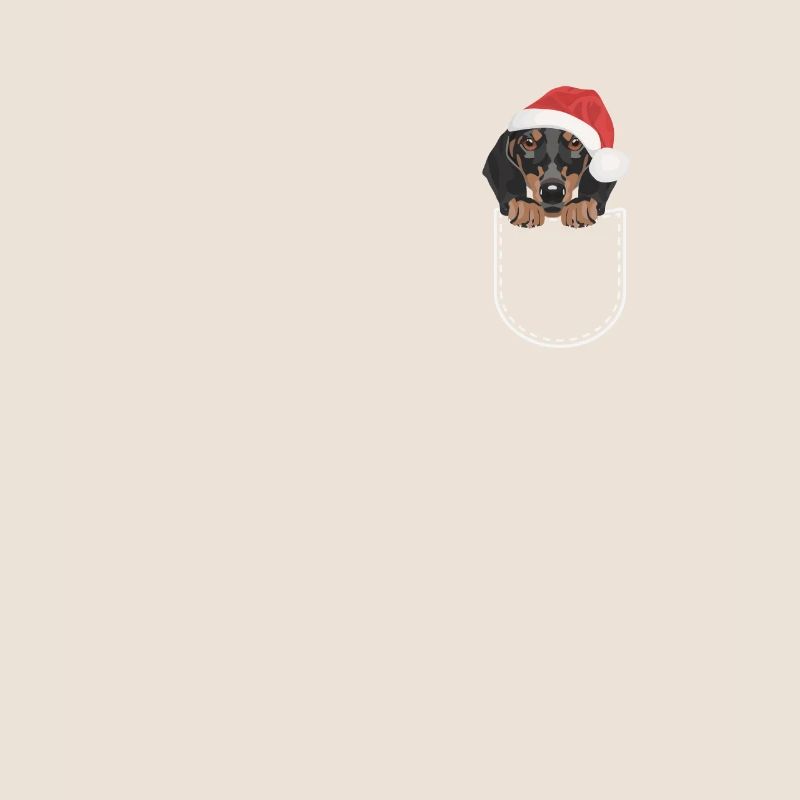 Teckel Joyeux Noël