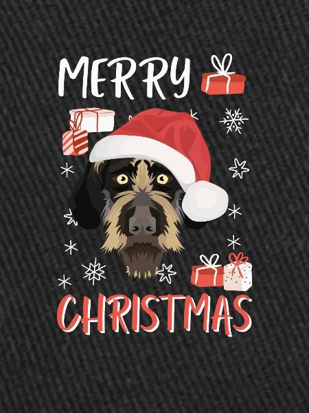 German Wirehair Joyeux Noël