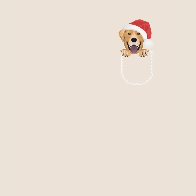 Joyeux Noël Labrador