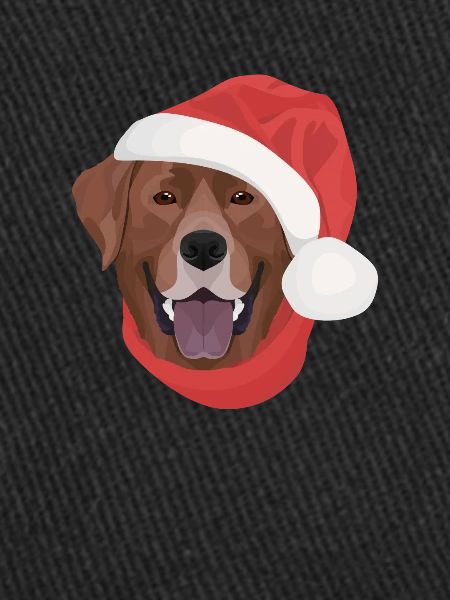 Joyeux Noël Labrador