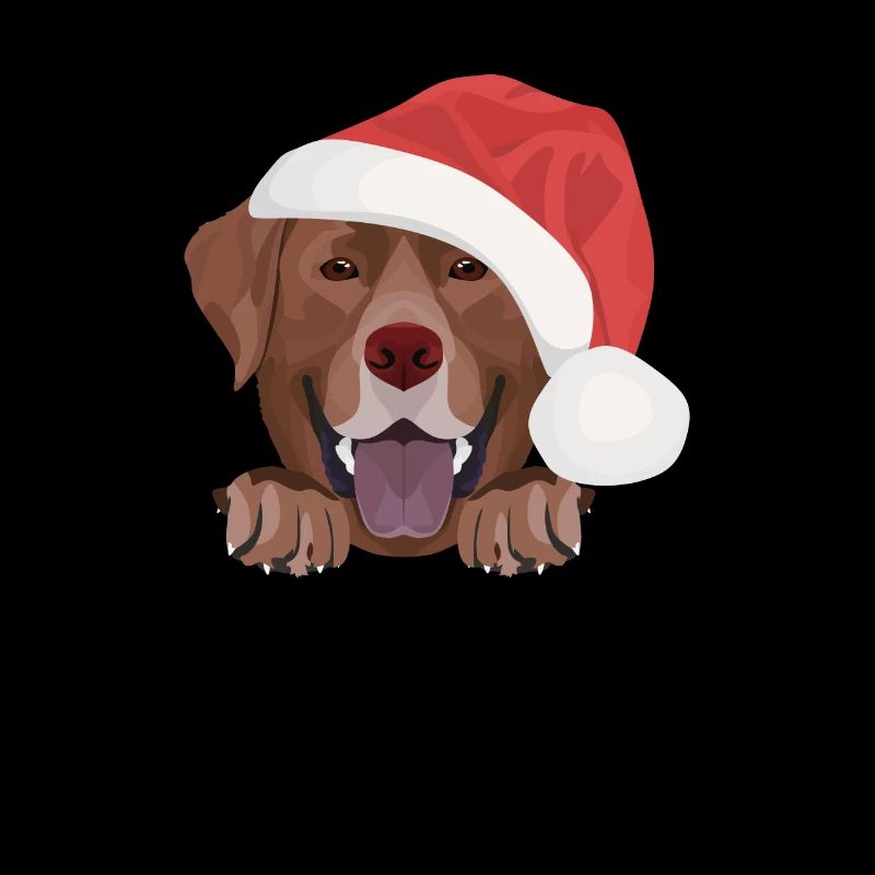 Joyeux Noël Labrador