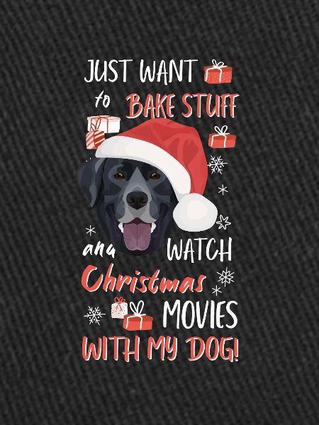 Joyeux Noël Labrador