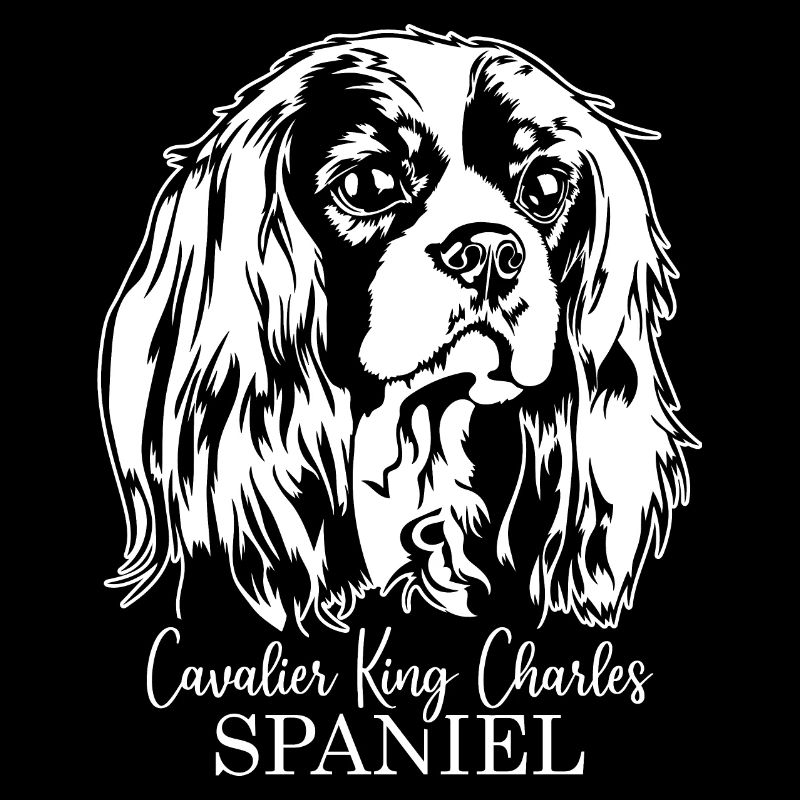 CAVALIER KING CHARLES SPANIEL Chien portrait chiens