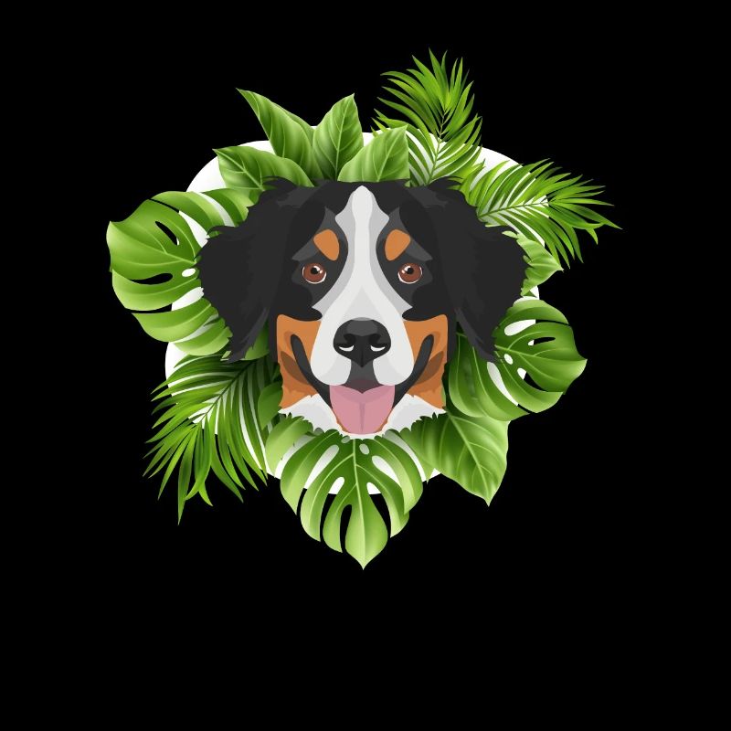 Tropical Berner Sennenhund