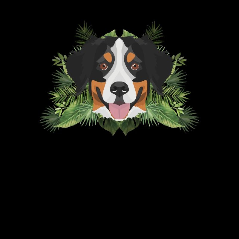 Bouvier bernois tropical