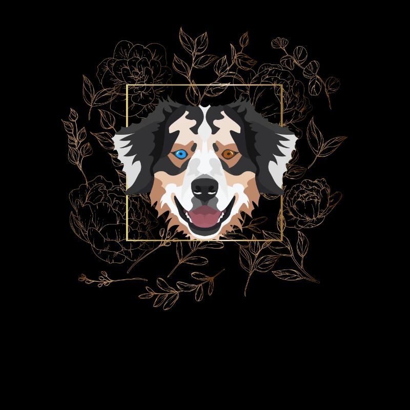 Golden Dog Australian Shepherd