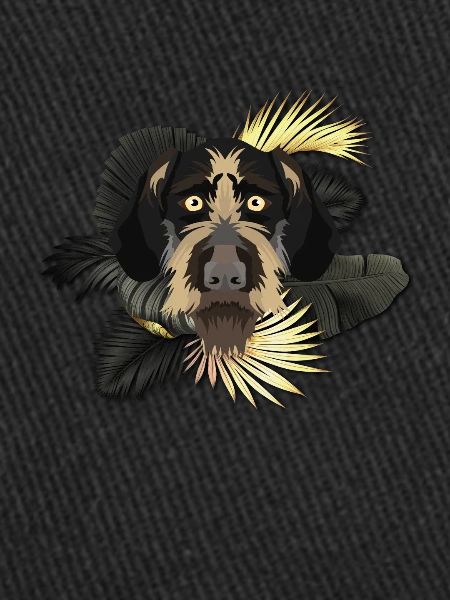 Goldener Hund Deutsch Drahthaar