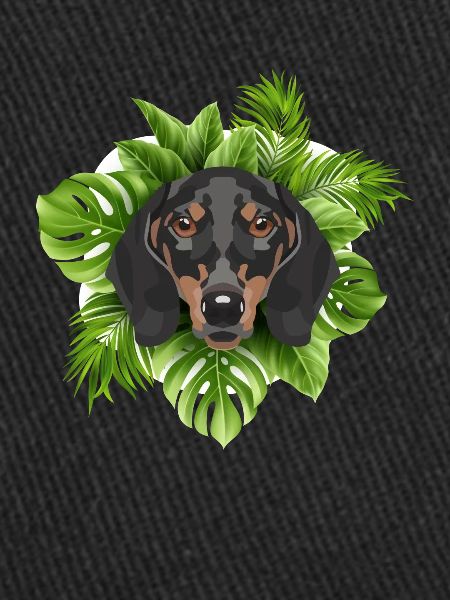 Teckel tropical
