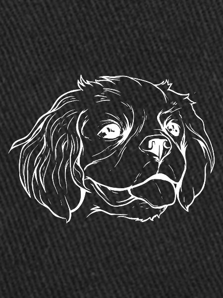 Cavalier Dog