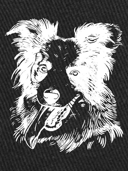 Joyeux Collie Dog