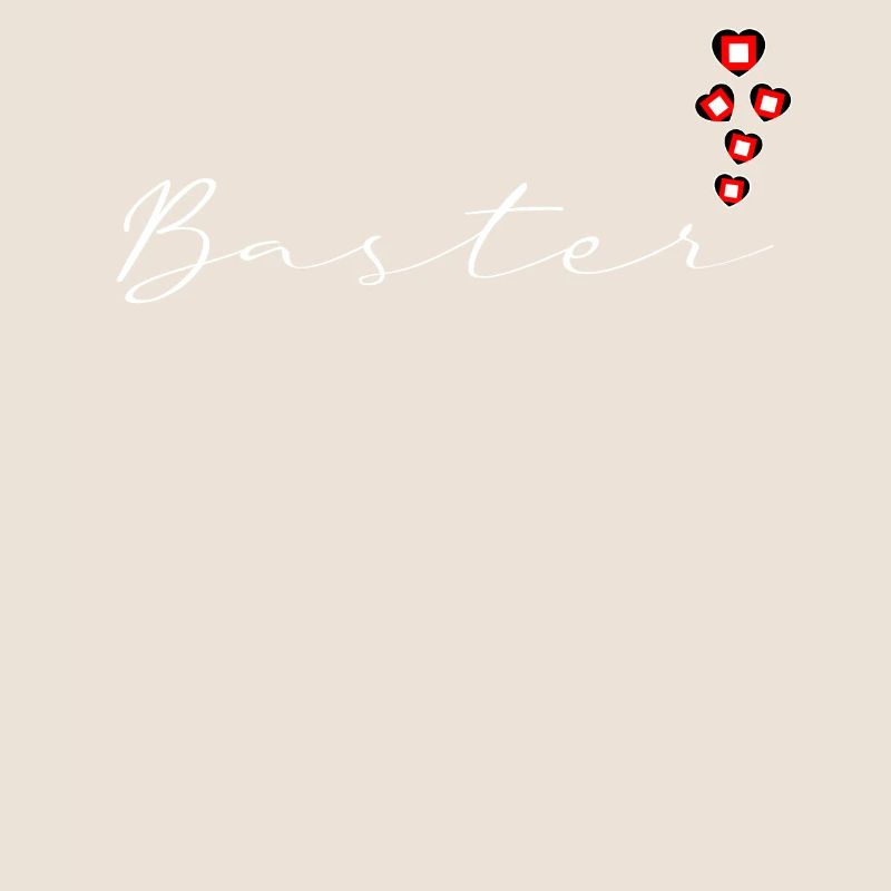 Baster