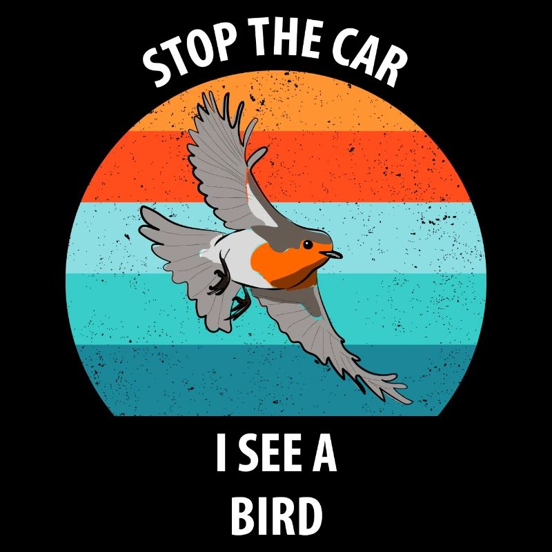 Observation des oiseaux Observation des oiseaux Observation des oiseaux
