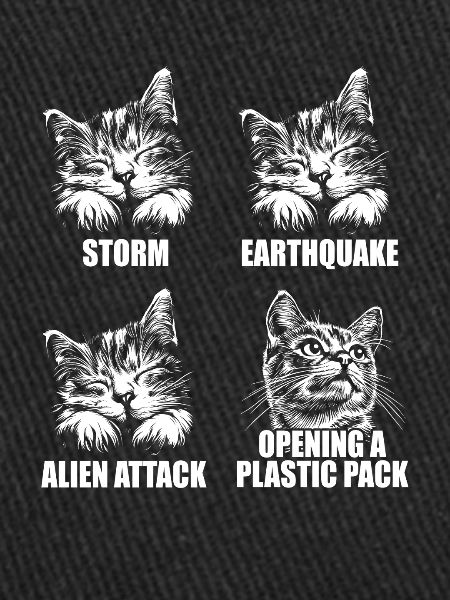 Cat - selective perception - saying