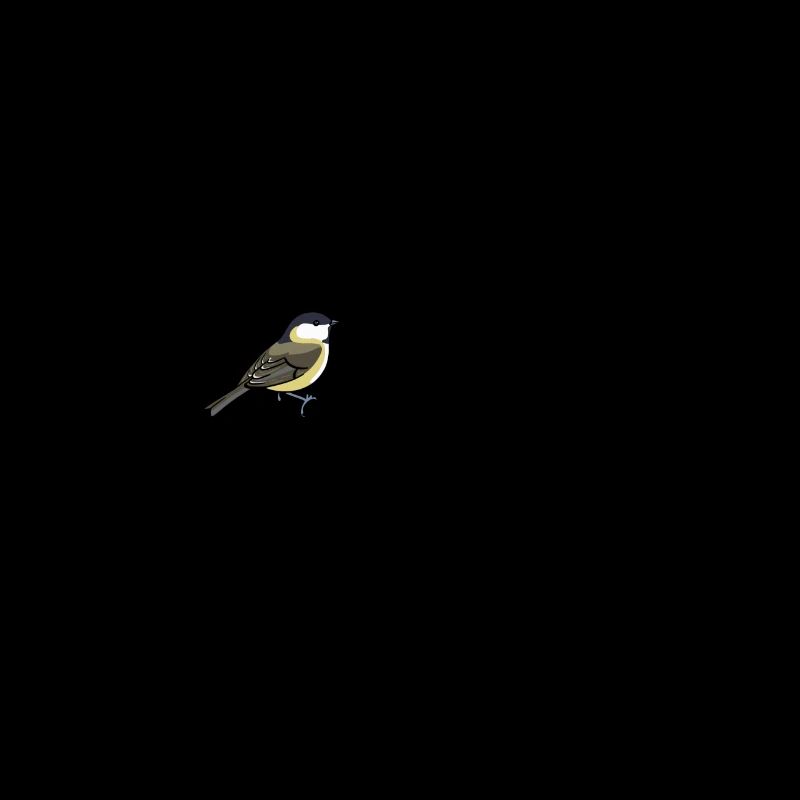Oiseaux Birdwatcher Heartbeat Spring Bird