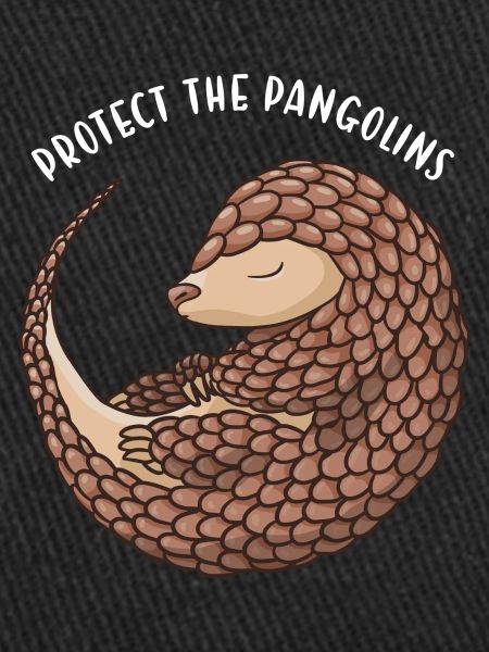 Protéger les pangolins Pangolin