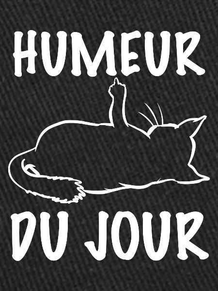 Chat Humeur Du Jour