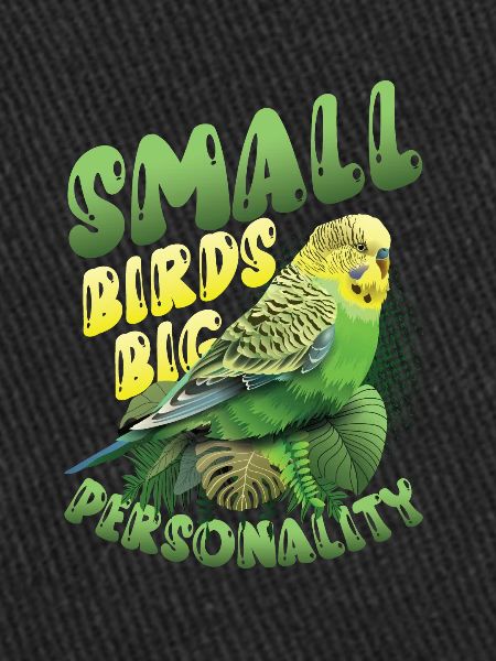 Petits oiseaux Grande personnalité, perruche